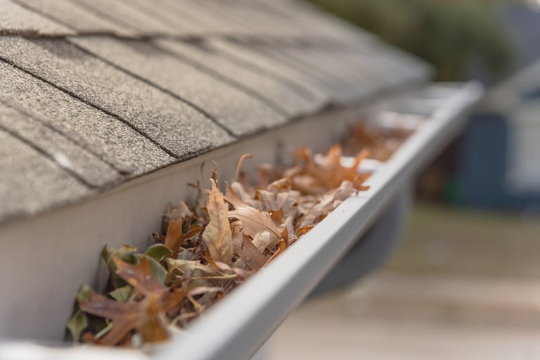 Clogged gutter full of dried leaves needing cleaning