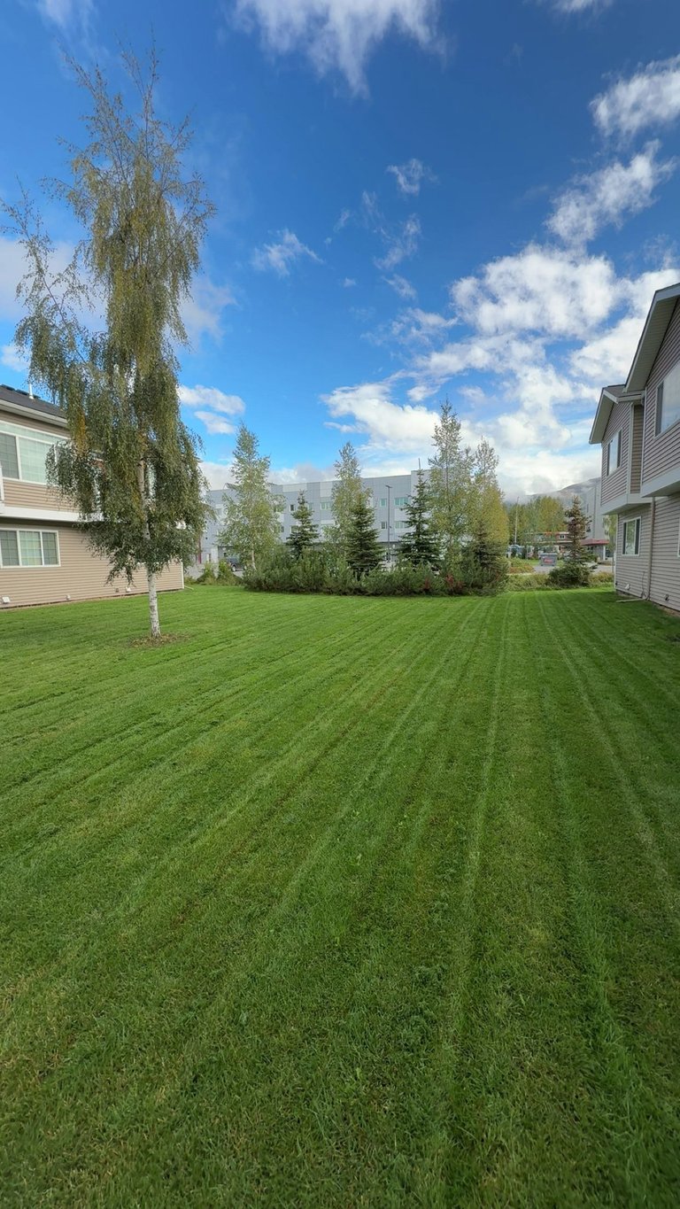 Well-manicured green lawn with striped mowing pattern between residential houses, mountains, and trees under blue sky with white clouds